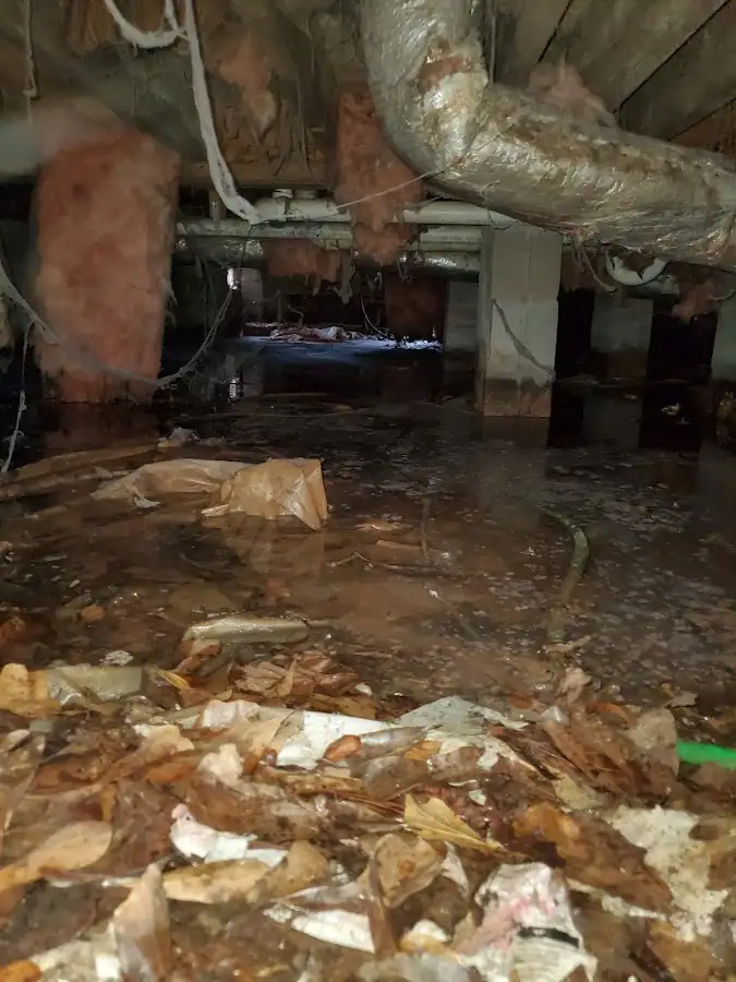 Crawl space flood assessment for Leak Detection & Repair in Huntington